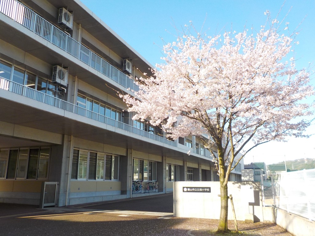 桜と校舎