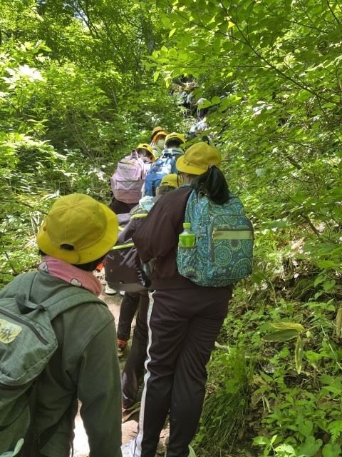 登山　急な坂道