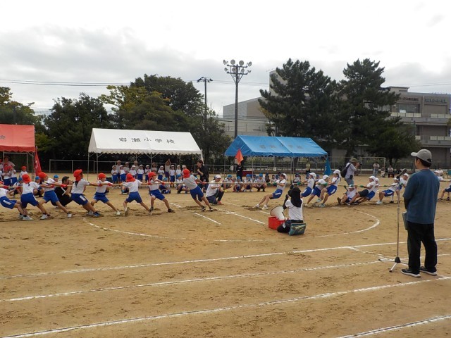 廻船綱引き～引き寄せろ勝利の舵を～