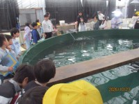水産研究所