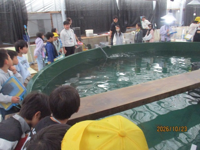 水産研究所