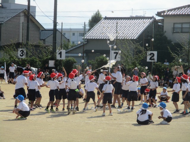 玉入れ（低学年）