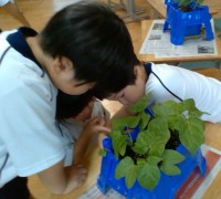 富山市立堀川小学校ホームページ