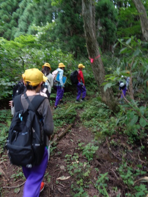 森のポイント探し　険しい山道でした