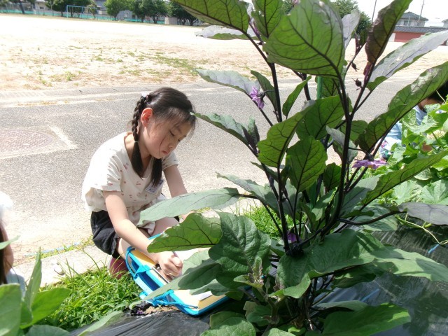 気付きを日記に書いている様子