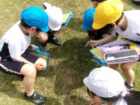 蛾を見つけました。