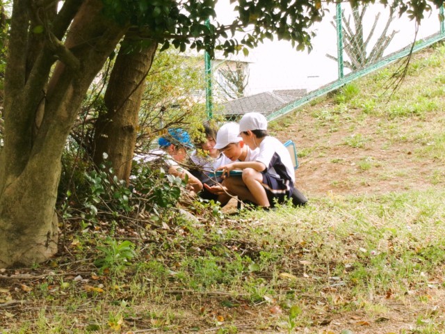 ダンゴムシ、見つかるかな？