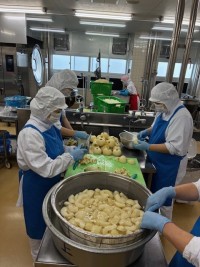 調理員さんが呉羽梨を切っているところ