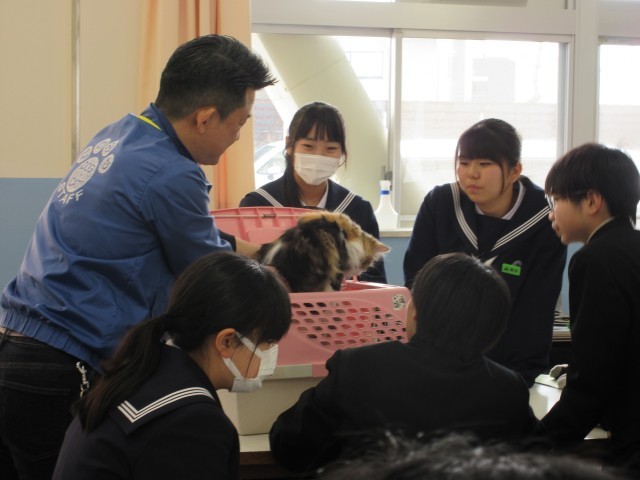 ペットショップ経営