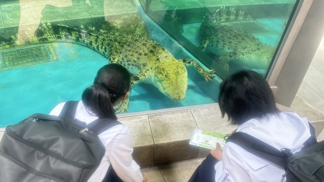 ワニの大きさに驚きました