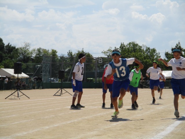 学年別リレー：アンカーへのバトンタッチ