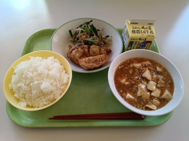 マーボー豆腐、揚ギョーザ、香味和え